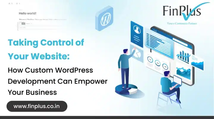 custom wordpress website development services